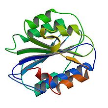 Accéder aux informations sur cette image nommée PBB Protein VWF image.jpg.