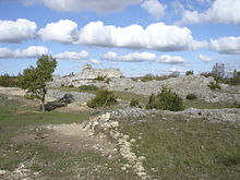 La photographie couleur présente un paysage de causse. La pelouse rase est interrompue par des amas cailloteux et une barre rocheuse calcaire recouverte de lichens gris. Un arbre chétif et quelques buis rachitiques renforcent l'aspect de terrain pauvre.