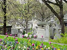 Pere Lachaise looking down the hill.jpg