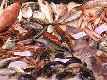 la photographie en couleur montre un assortiment de poissons de toute taille sur un lit de glace de poissonnerie. Des antennes de crustacés et des calmars complètent la scène.