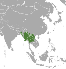  Carte d'Asie du sud est avec une tache verte centrée sur la Tailande et la Birmanie