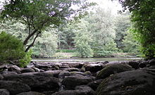 Enrochements des bains de Diane avec la rivière Sèvre en arrière plan ainsi que la végétation opposée.