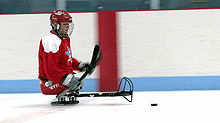 Un joueur de hockey sur luge maniant le palet.