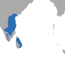  Carte du sud de l'Inde et Sri Lanka avec des taches bleues à l'ouest