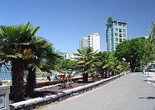 A sidewalk lined with lights and palm trees. Opposite the street are benches where people sit and watch the bay. In the distance are high-rise buildings, including one with a tree growing on its roof.
