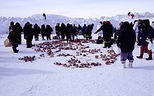 Dans la lumière lilas d'une plaine enneigée sur fond de montagnes également couvertes de neige, une trentaine de silhouettes emmitouflées, chapeautées et bottées font cercle autour de morceaux de viande congelés éparpillés à même le sol.
