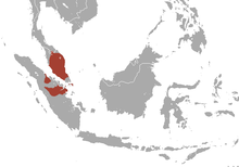 Carte d'Asie du Sud-Est avec des zones rouges sur la péninsule malaise et Sumatra