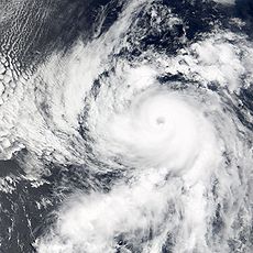 Hurricane bud 2006.jpg