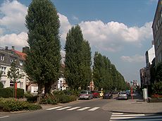 L'avenue des Cerisiers à Schaerbeek