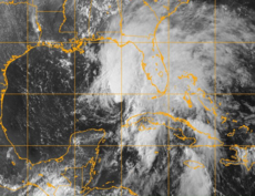 Tropical Storm Barry (2007).PNG