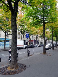 P1030693 Paris XII rue de Prague rwk.JPG