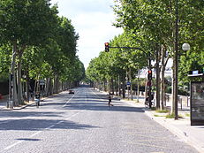 Quai Saint-Bernard Paris.JPG