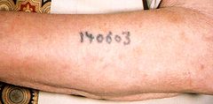 Numéro 140603 tatoué en noir sur la face externe d'un avant-bras masculin.