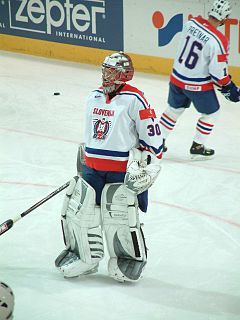 Accéder aux informations sur cette image nommée Gaber_Glavič_on_Ice_hockey_WC_2005.jpg.