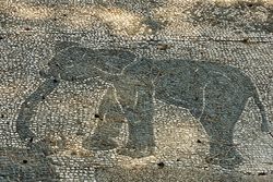  Mosaïque romaine représentant un éléphant.