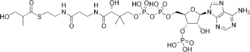 3-Hydroxyisobutyryl-CoA.png