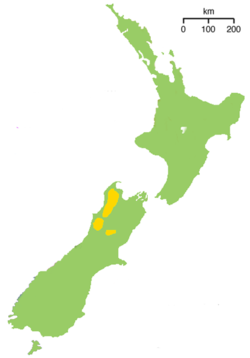 Aire de répartition du kiwi roa
