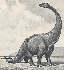  Gigantosaurus vu par Heinrich Harder  Illustrations pour "Die Wunder der Urwelt", 1912