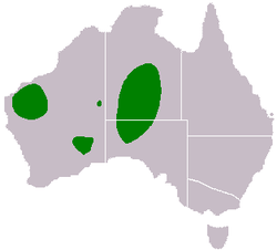 Acacia-kempeana-range-map.png