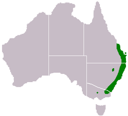 Acacia-maidenii-range-map.png