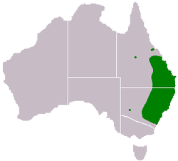 Acacia-penninervis-range-map.png