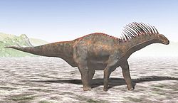  Reconstitution de Amargasaurus cazaui