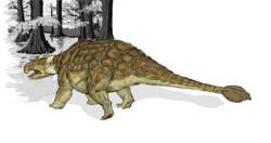  Reconstitution d'un Ankylosaurus