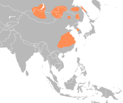 Anser cygnoides distribution map.png