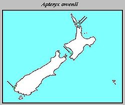 Apteryx owenii Distribution.jpg