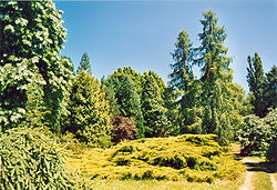 Arboretum Barres.jpg
