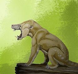  Arctocyon (Smilodon fatalis)