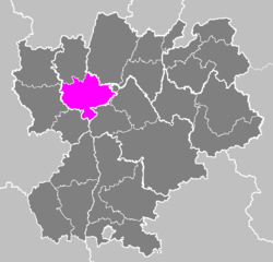 Arrondissement de Lyon.PNG