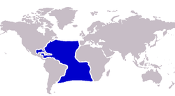 Atlantic blue marlin distribution.PNG