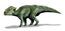  Bagaceratops (vue d'artiste)