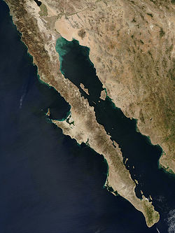Vue satellite du golfe de Californie