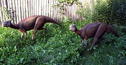  Dryosaurus altus