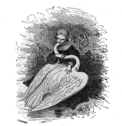 La princesse Élisa embrasse le cygne (son frère), illustration par Bertall.