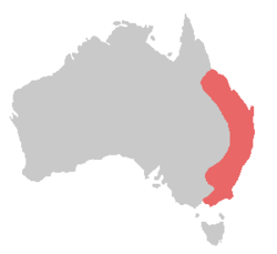 Répartition du cacatoès de Latham en Australie