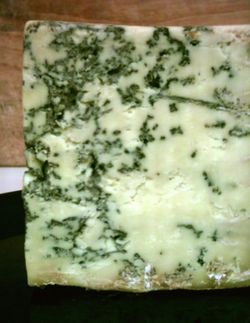  Penicillium roqueforti dans un fromage de Stilton « Blue Stilton »