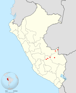 Localisations approximativesdes observations du Cassique de Koepckeau Pérou