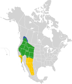 bleu: zone de nidification vert: présent toute l'année jaune: zone d'hivernage