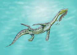  Représentation d'un Ceresiosaurus