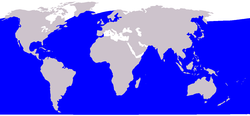 Cetacea range map Sei Whale.PNG