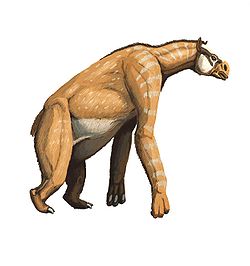  Anisodon grande, anciennement Chalicotherium grande.