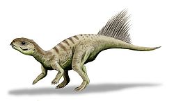  Reconstitution de Chaoyangsaurus.