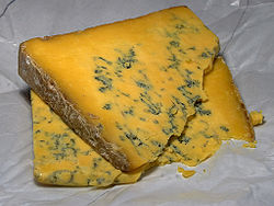 Cheese 53 bg 061806.jpg