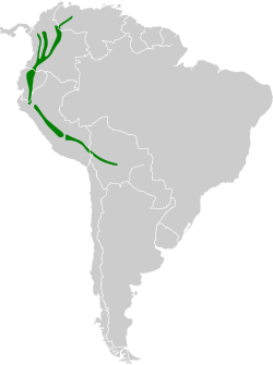 Coeligena torquata map.svg