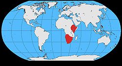 Corvus capensis2 map.jpg