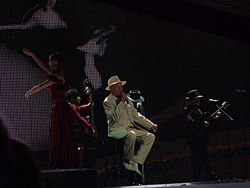 Croatia in the Eurovision Song Contest 2008.jpg