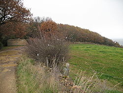 Vue de la Croix Rampau.